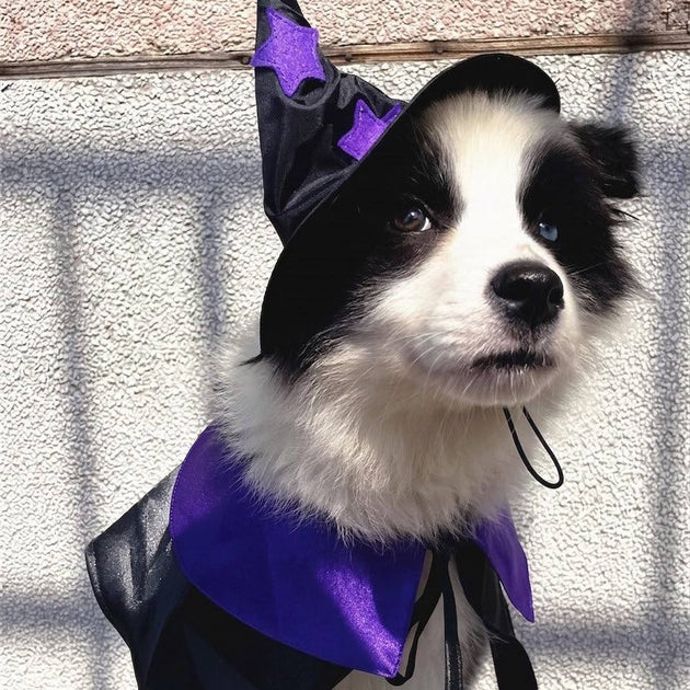 Witch Costume